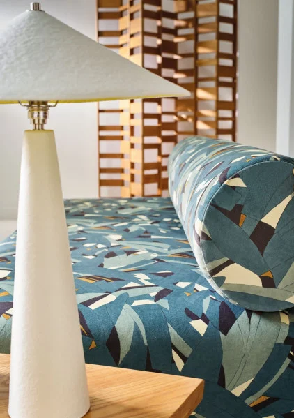 Casamance Astelia