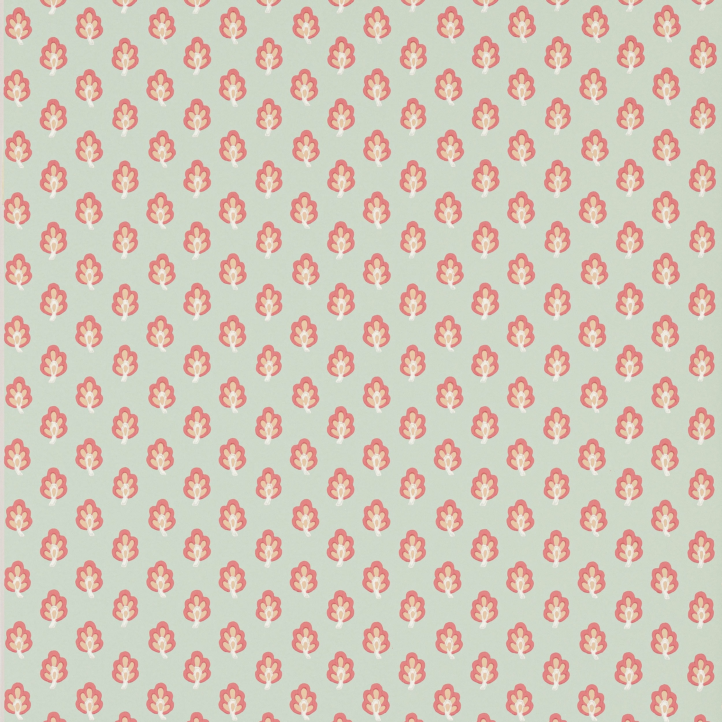 Aqua/Coral