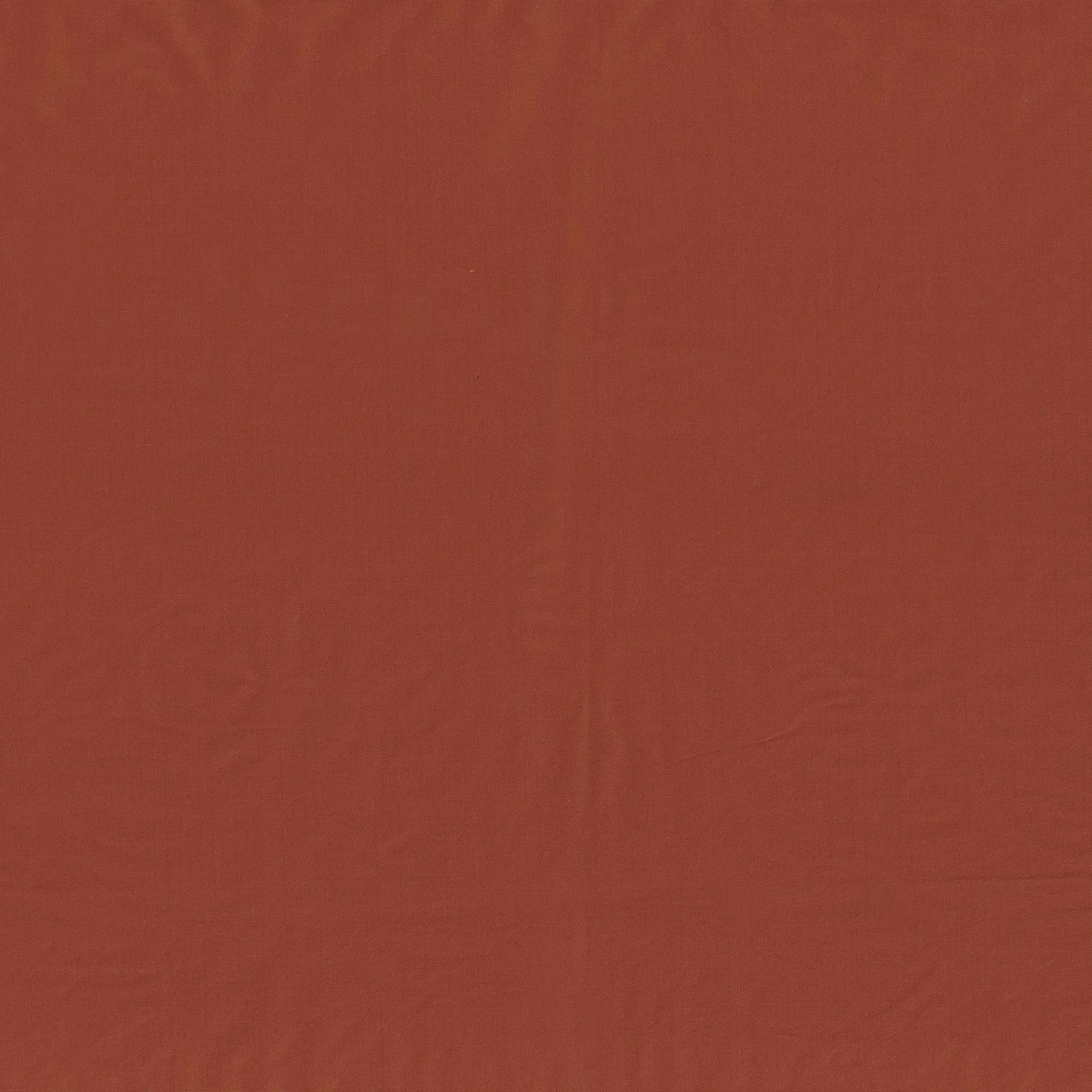 Orange Brulee