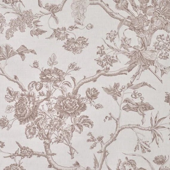 Braquenie Chantonnay