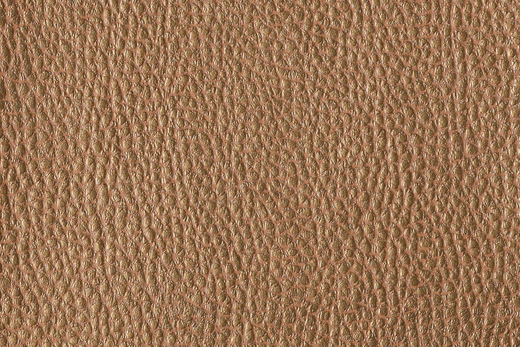 Fischbacher 1819 Boom