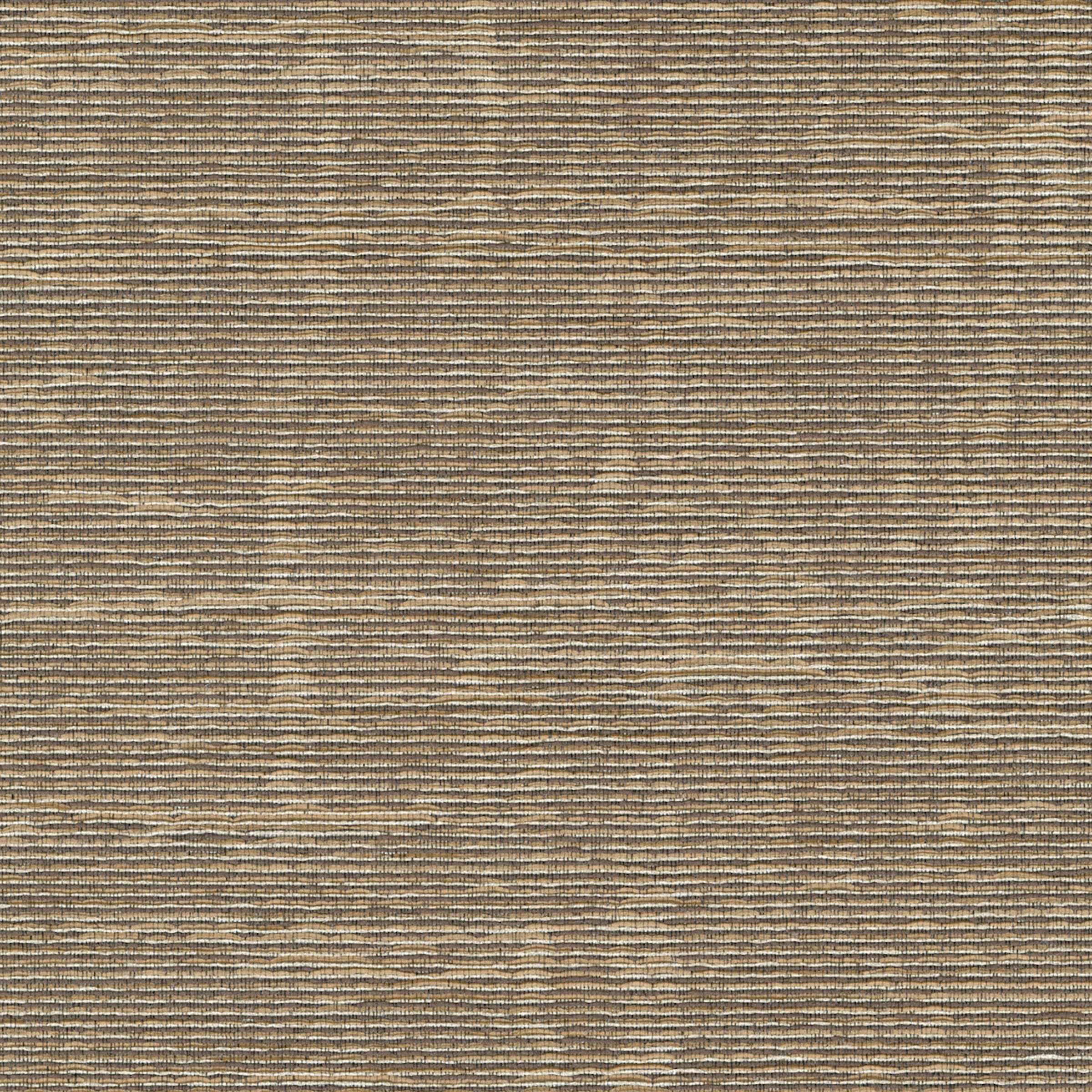 Une trame fondatrice