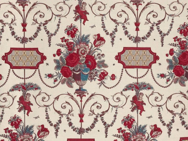 Braquenie Aix en provence