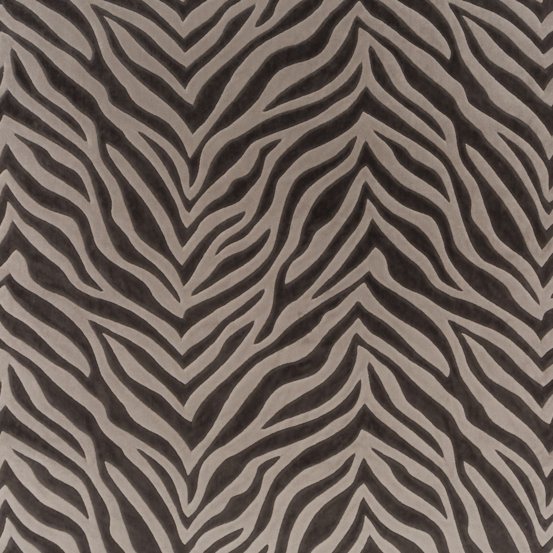 Chivasso Wild Shape