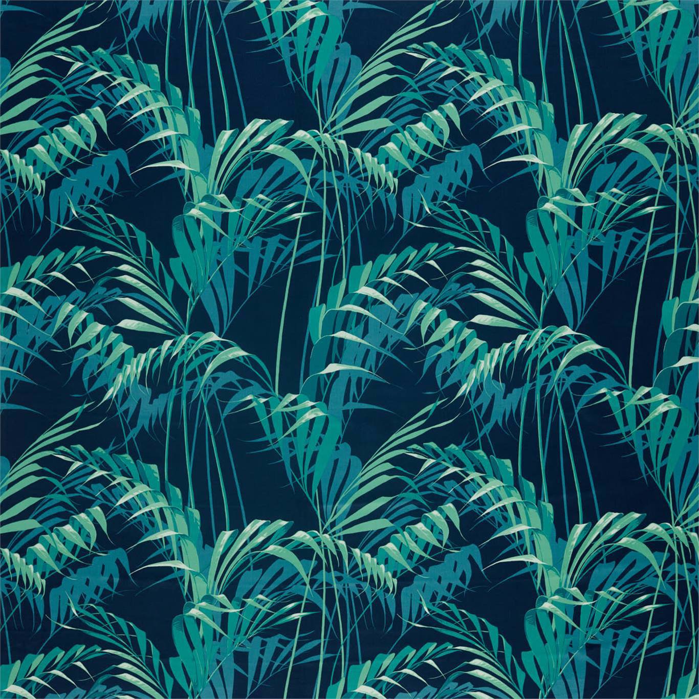 Sanderson Palm  House