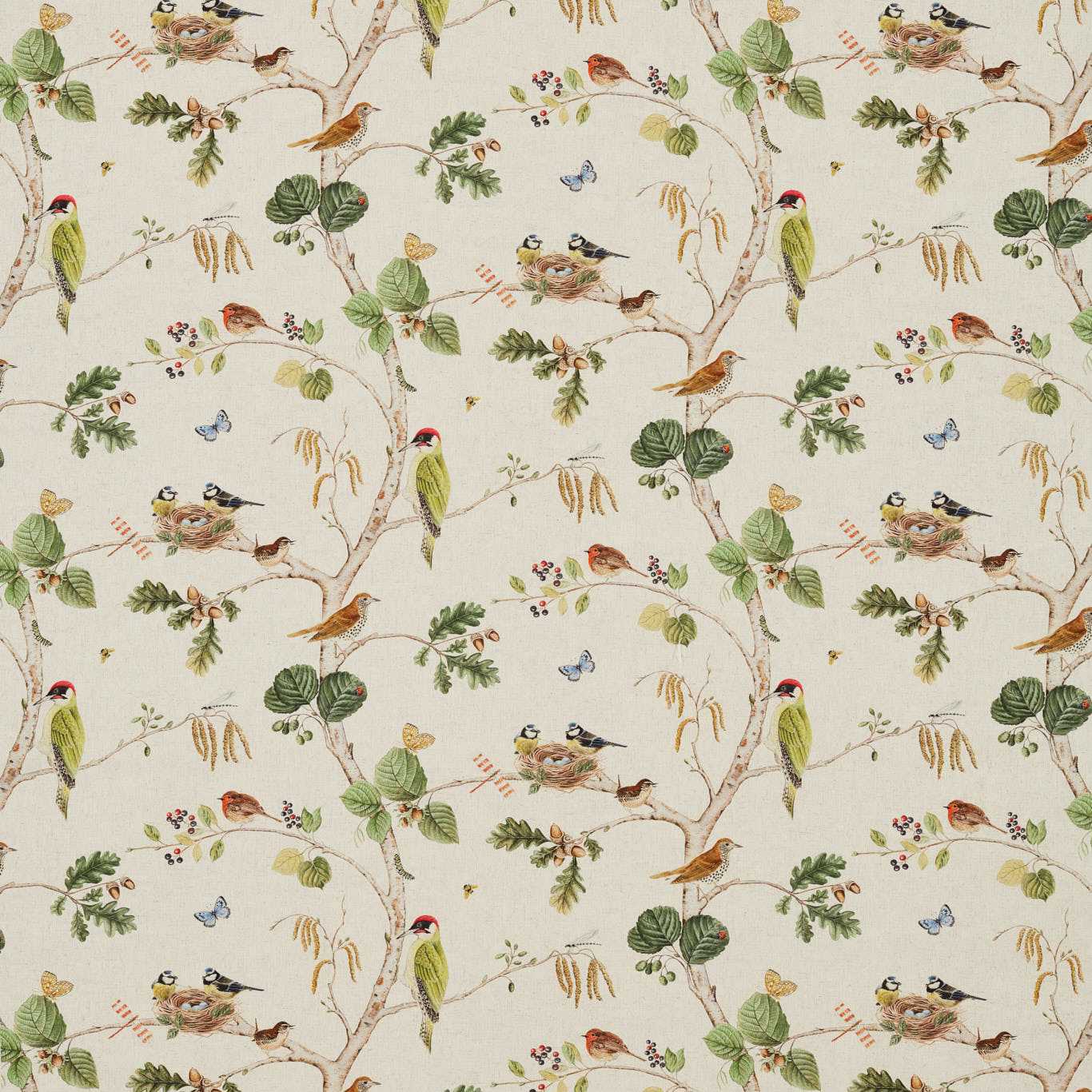 Sanderson  Woodland Chorus
