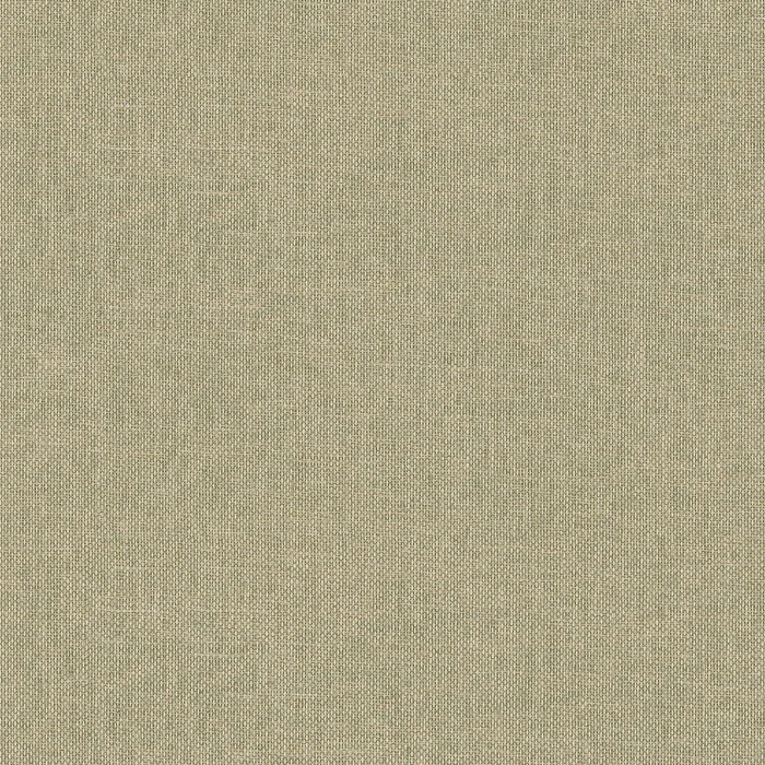 Kaki