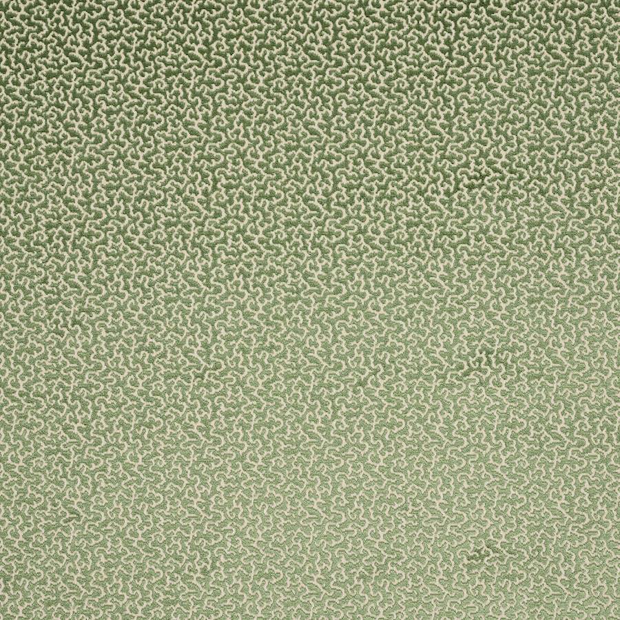 Manuel Canovas Drago