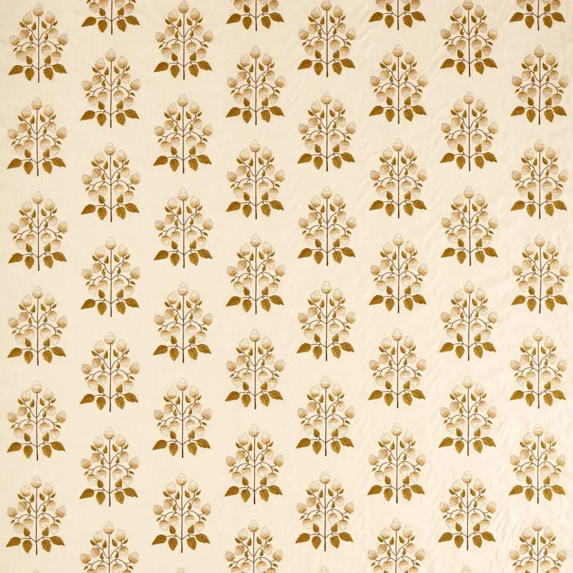 Lichen/White Blossom