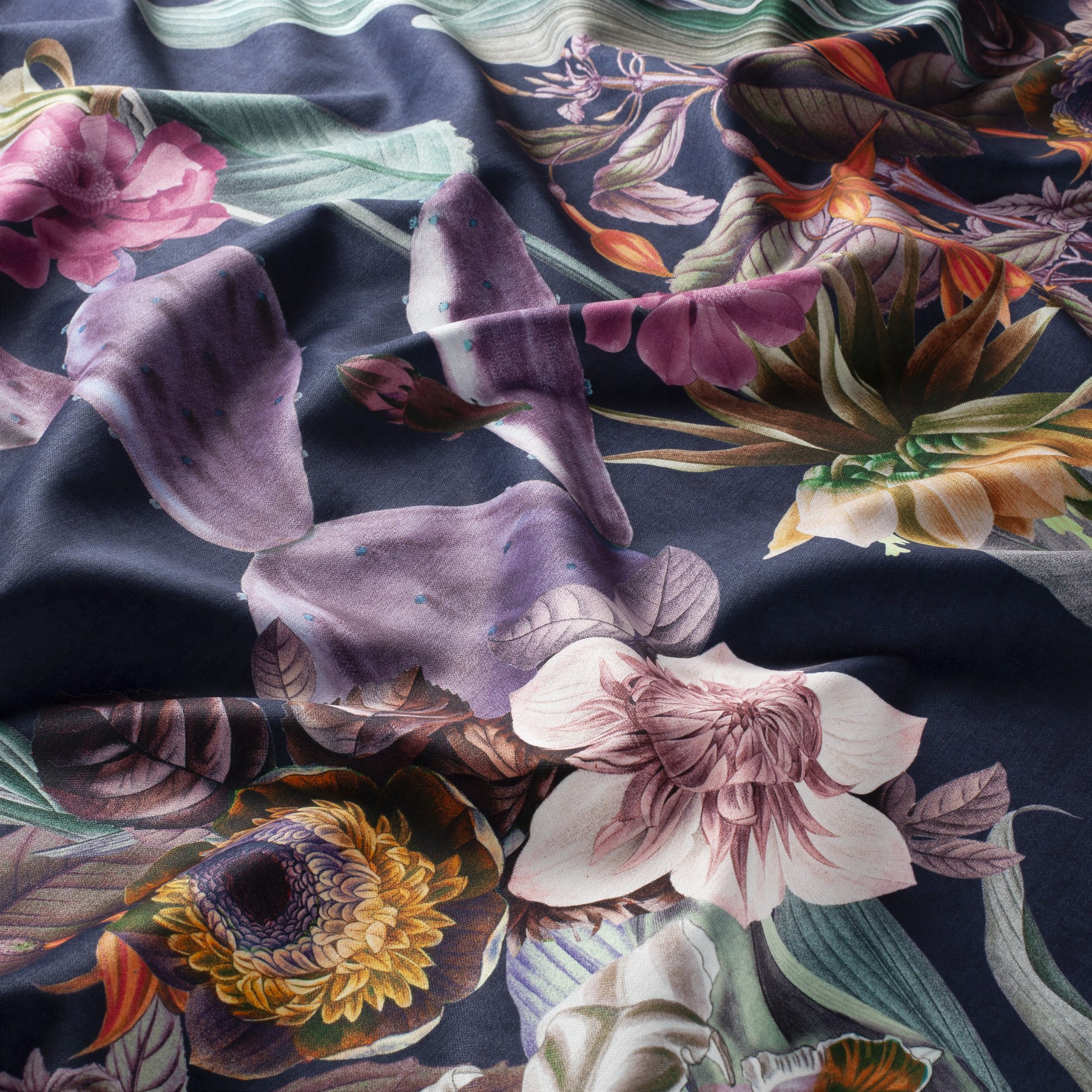 Carlucci Cosmic Flowers