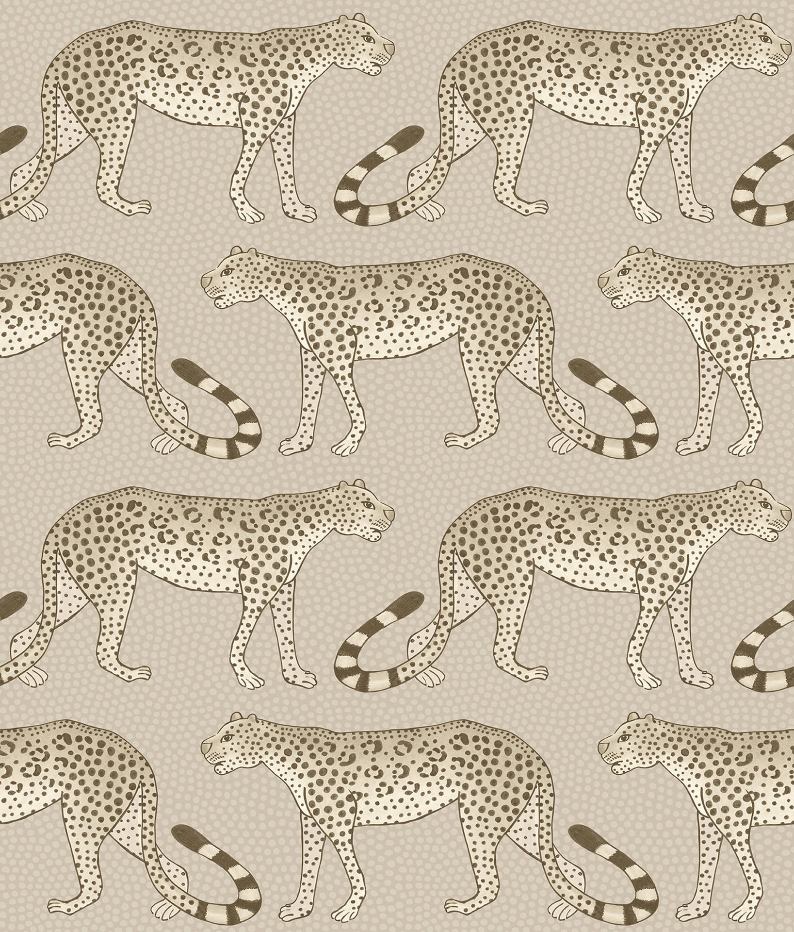 Safari on Taupe