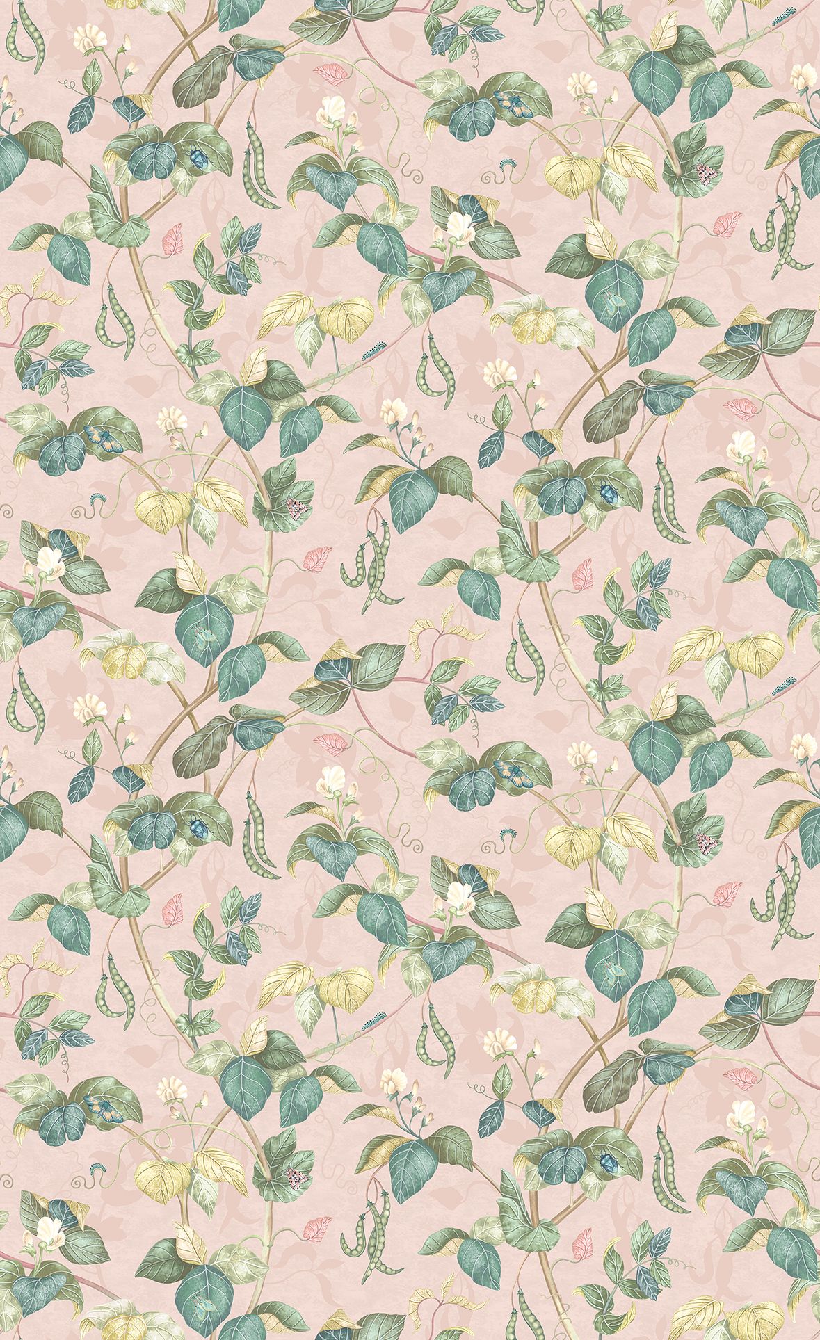 Blush
