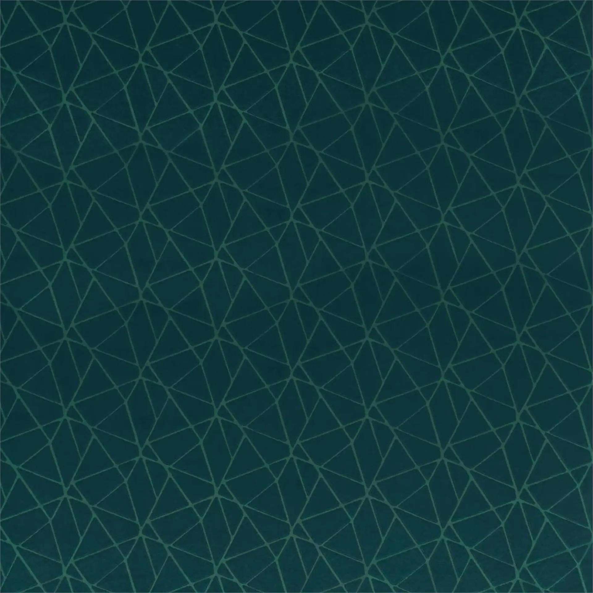 Harlequin Zola