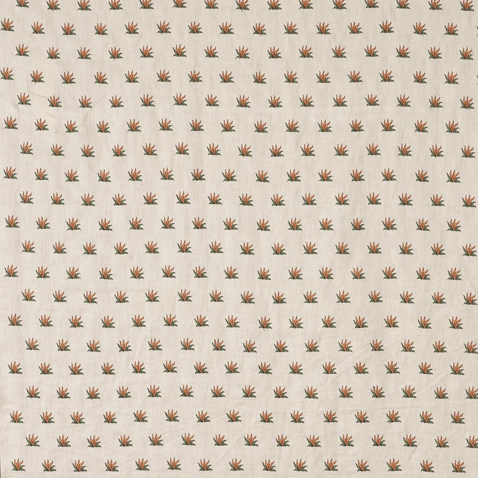 Braquenie Coulonges contrefond