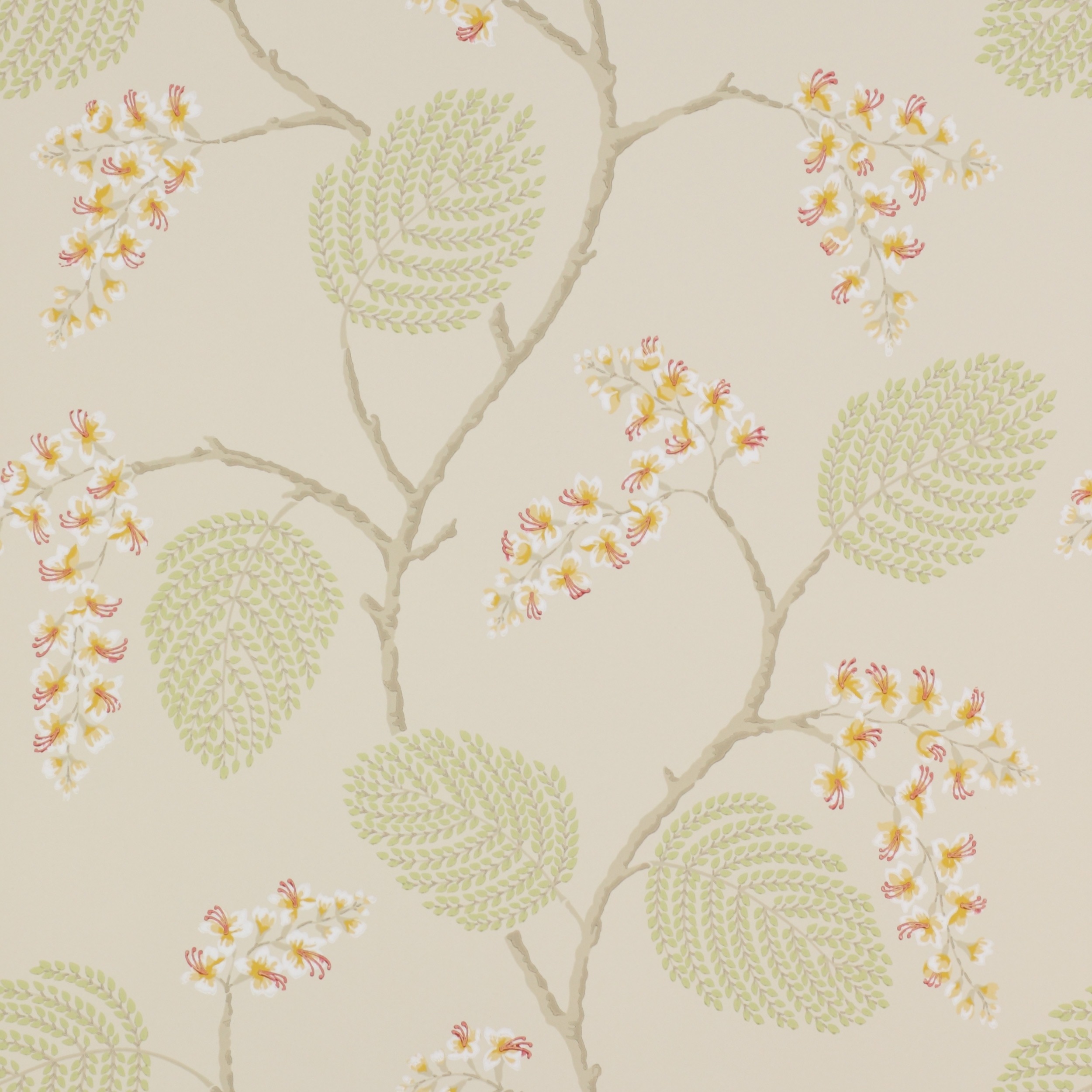 Coral/Green