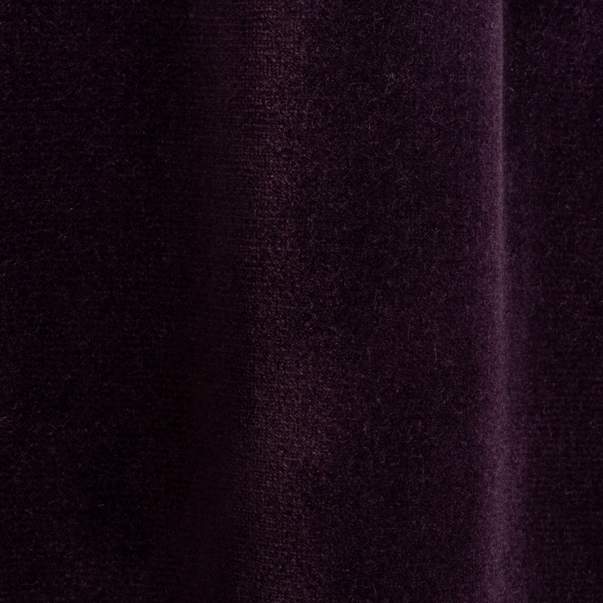Aubergine