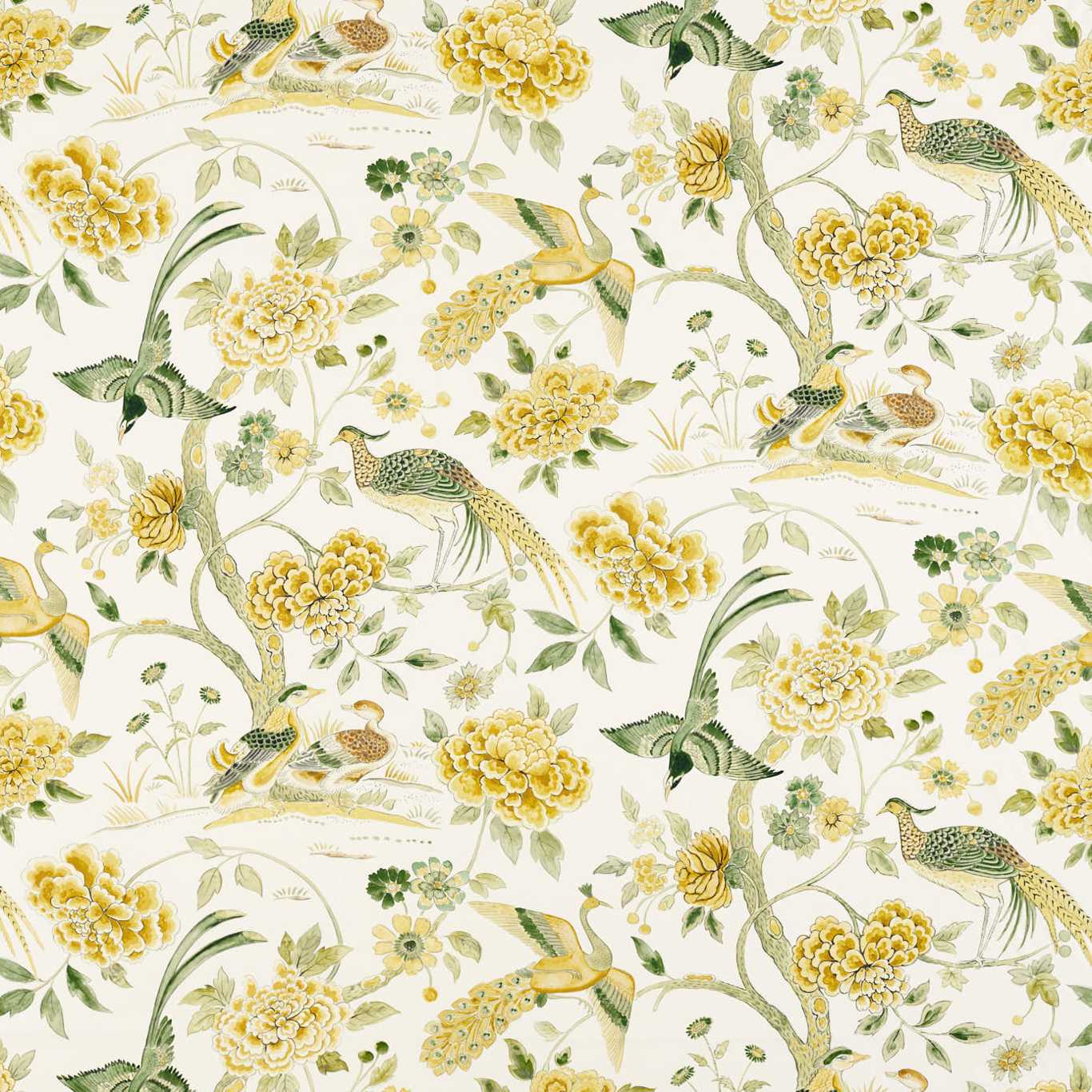 Sanderson Indienne Peacock  
