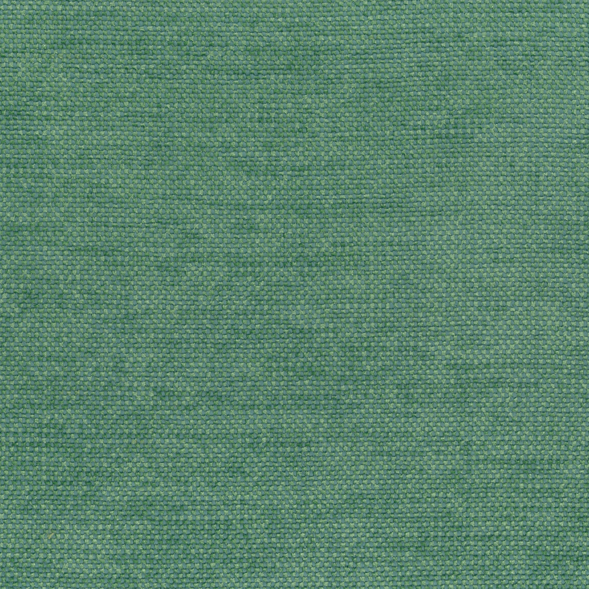 Acqua