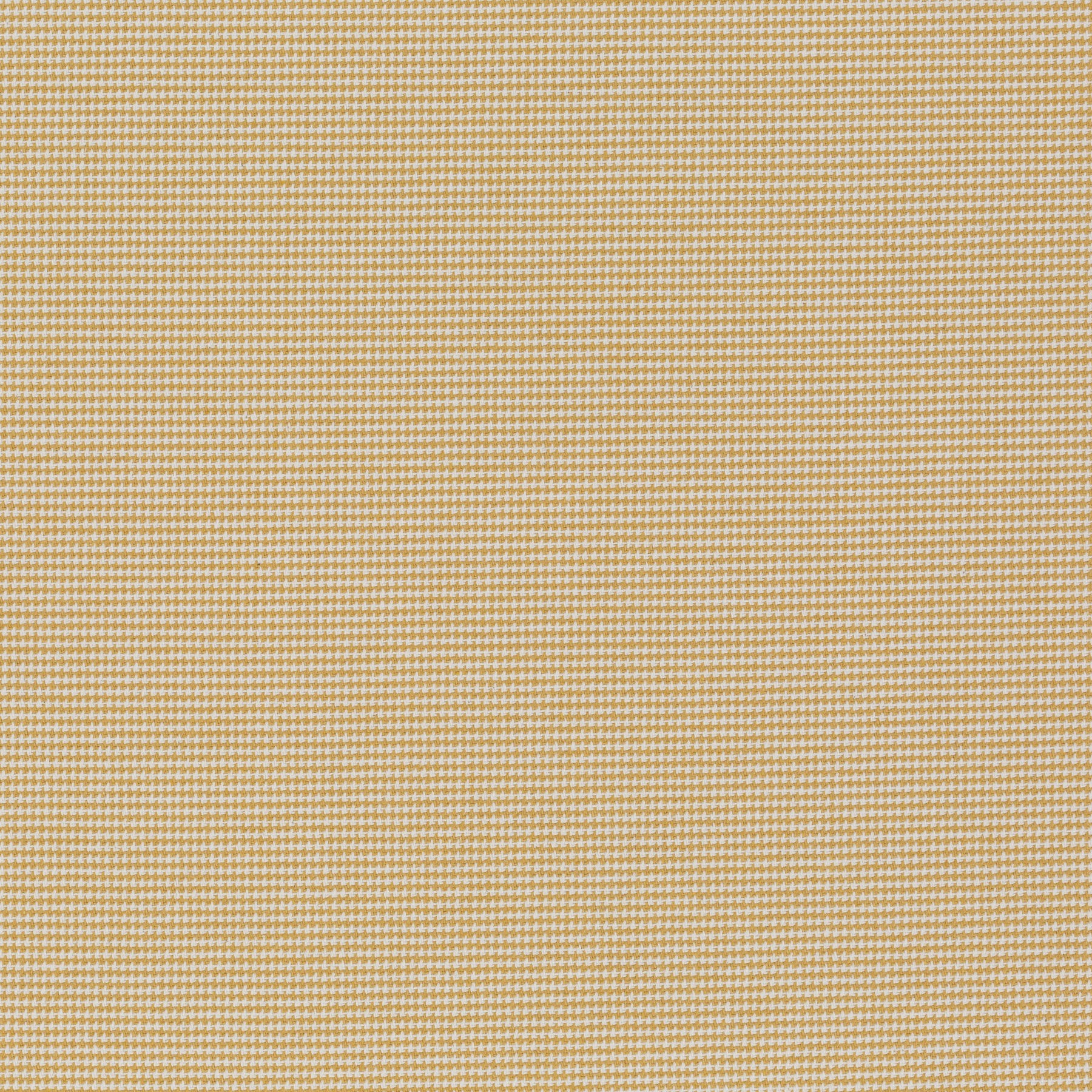 041
