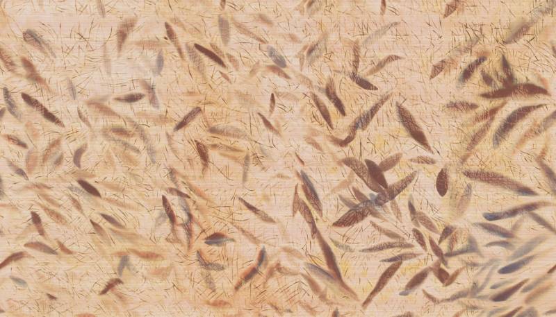 D'un battement d'ailes