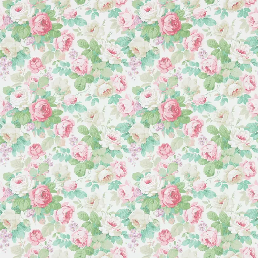 Pink/Celadon