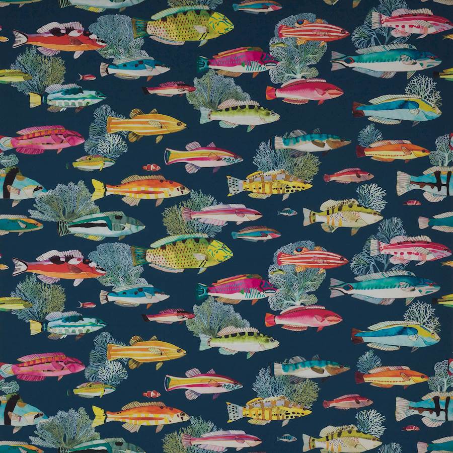 Manuel Canovas Fidji
