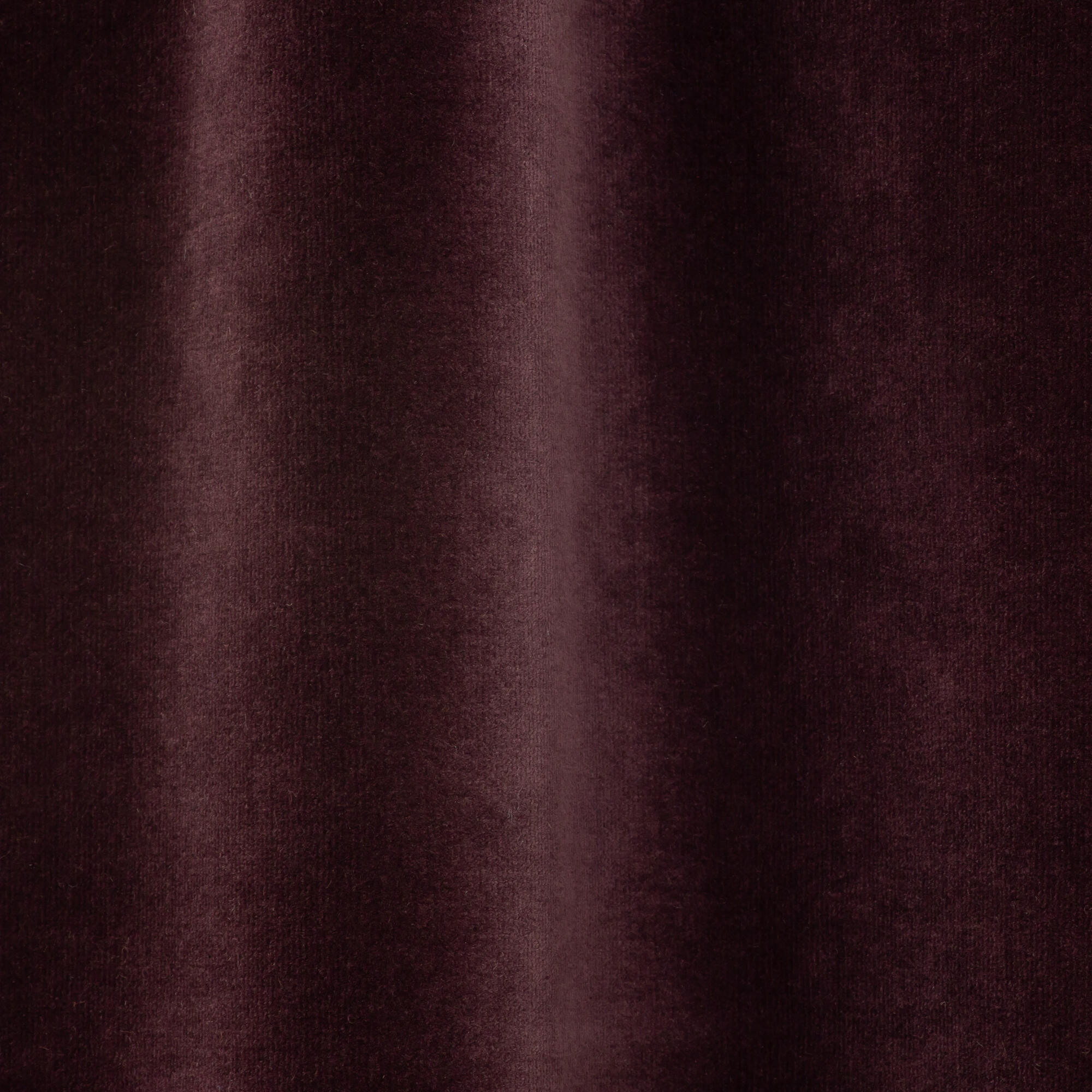 Aubergine
