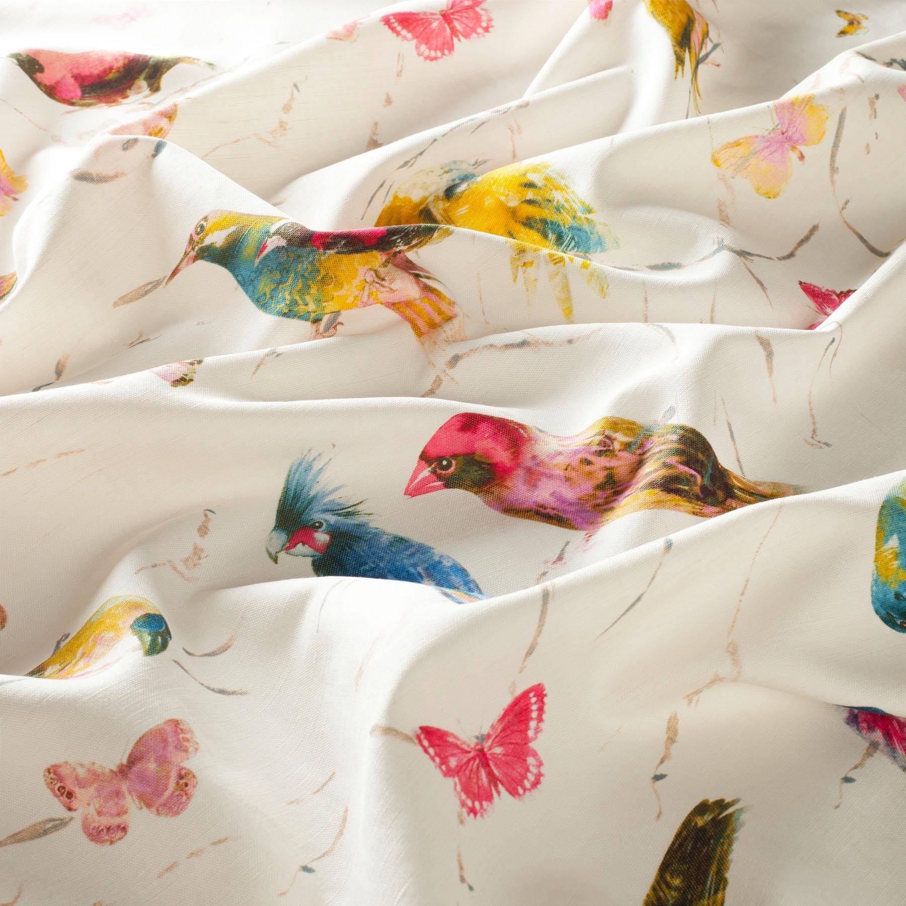 Chivasso Birds of Paradise