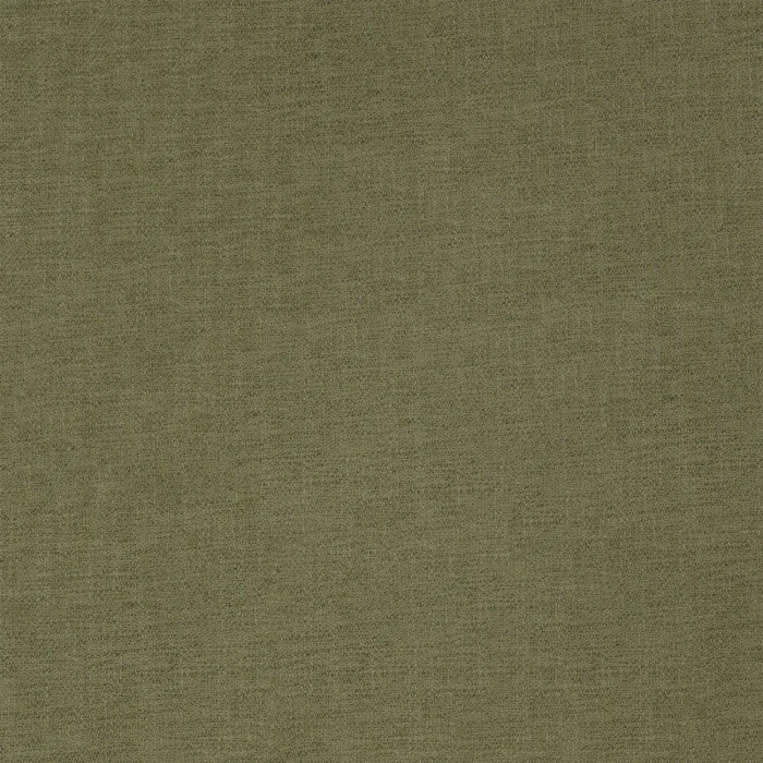 Kaki