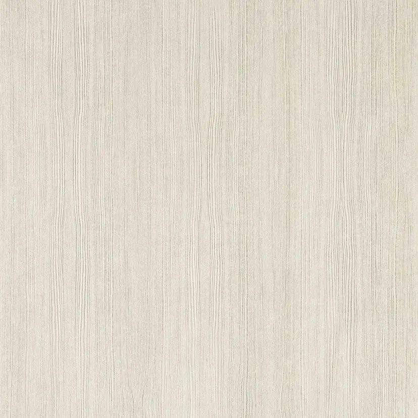 Silver Birch