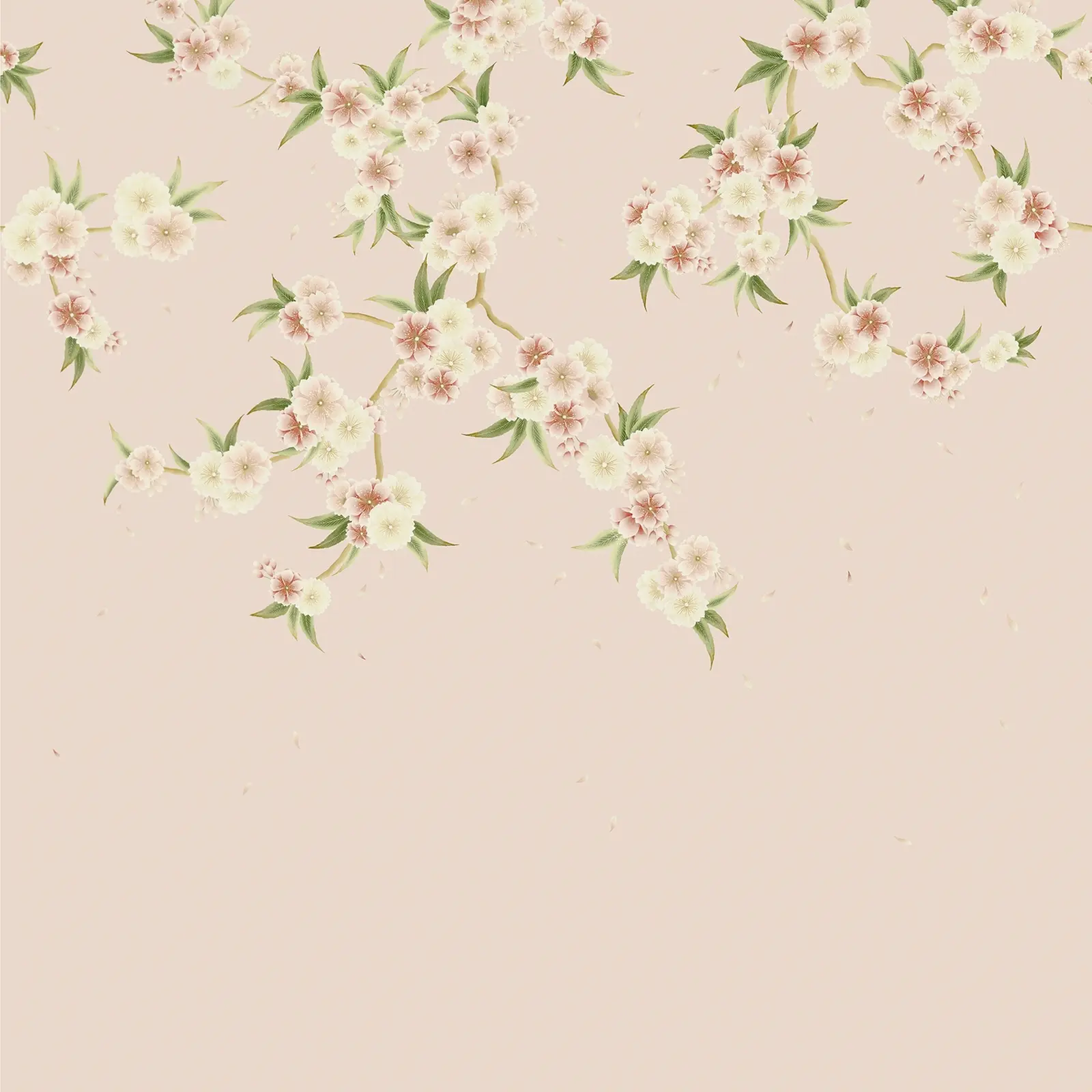 Rose Quartz