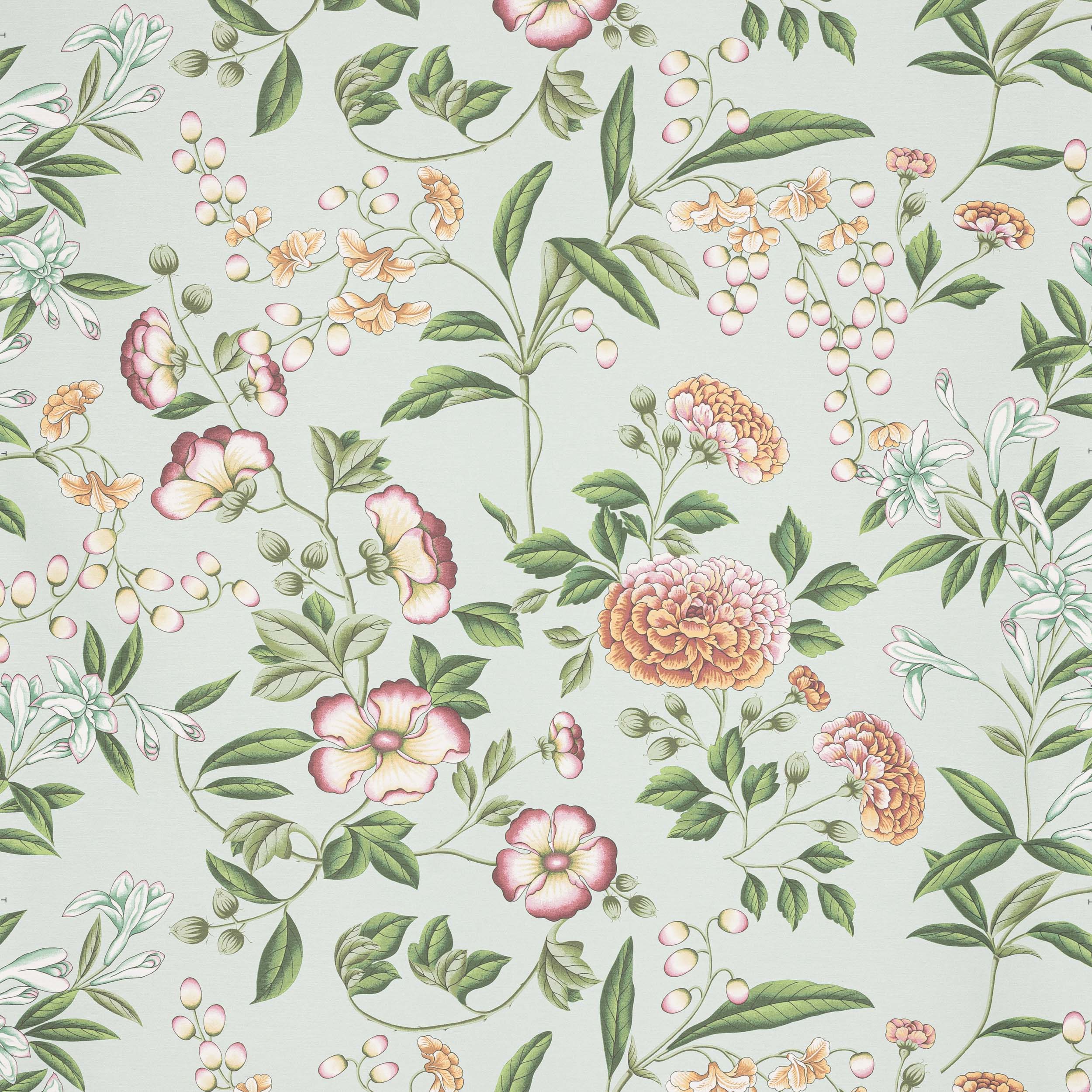 Manuel Canovas Coromandel Manuel Canovas Coromandel