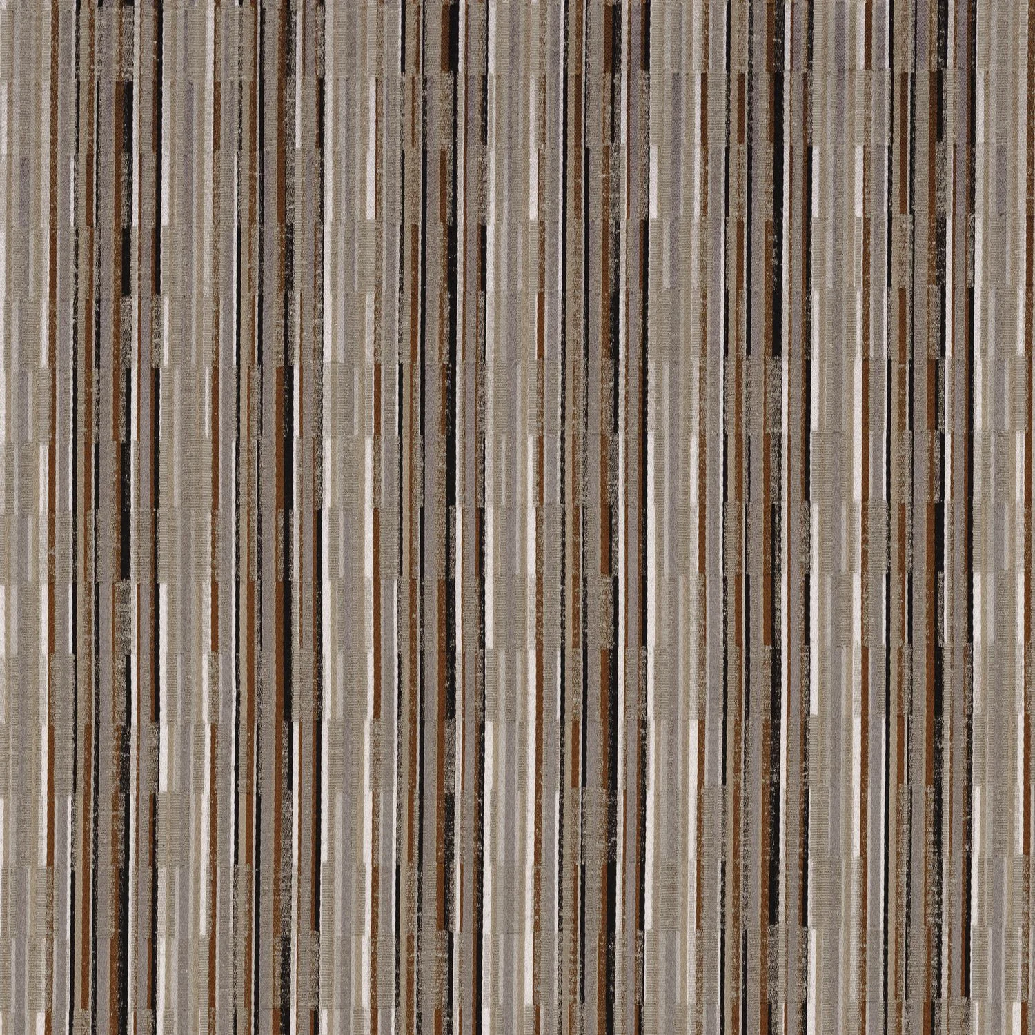 Taupe / mordore