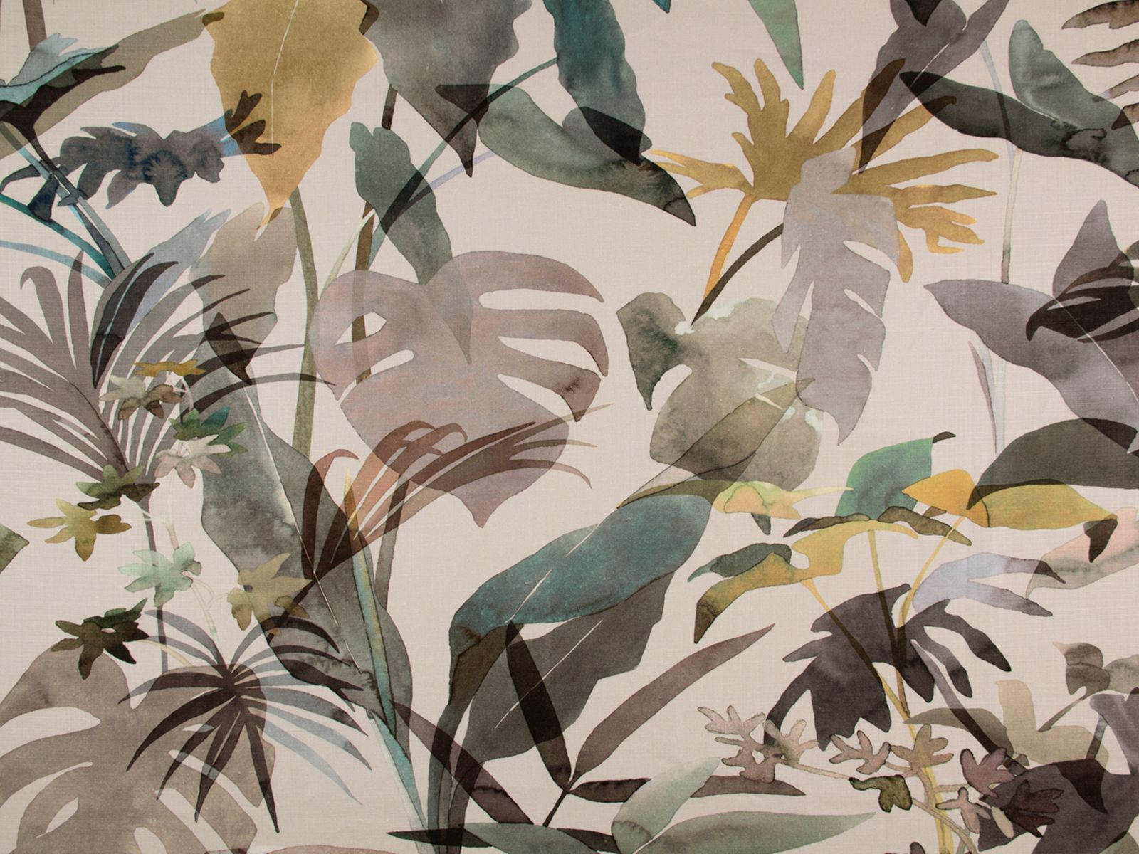 Zimmer + Rohde Paradiso