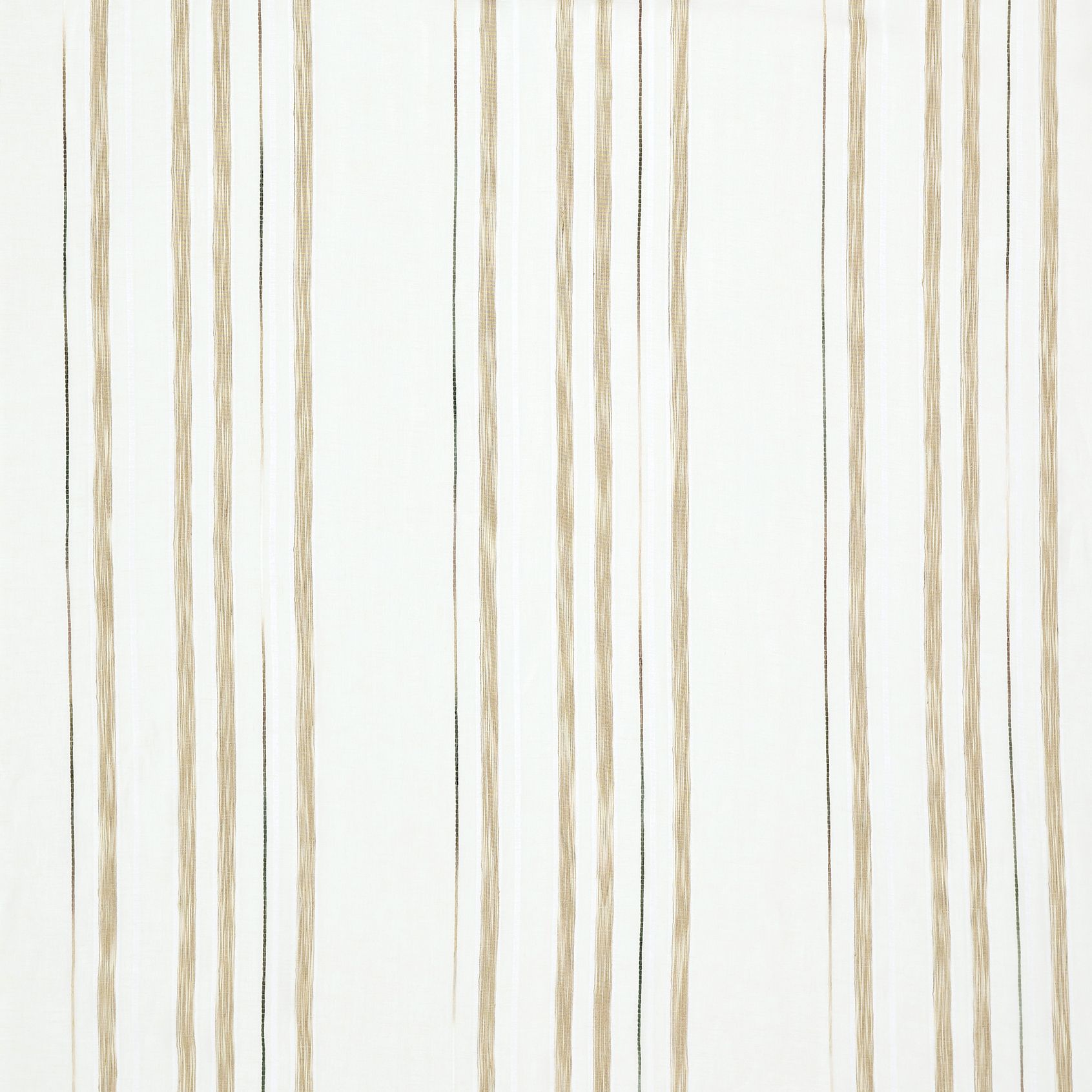 Ivory / Camel