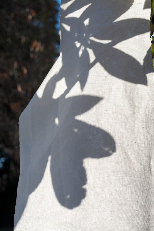 Dedar Wide Linen Flaubert