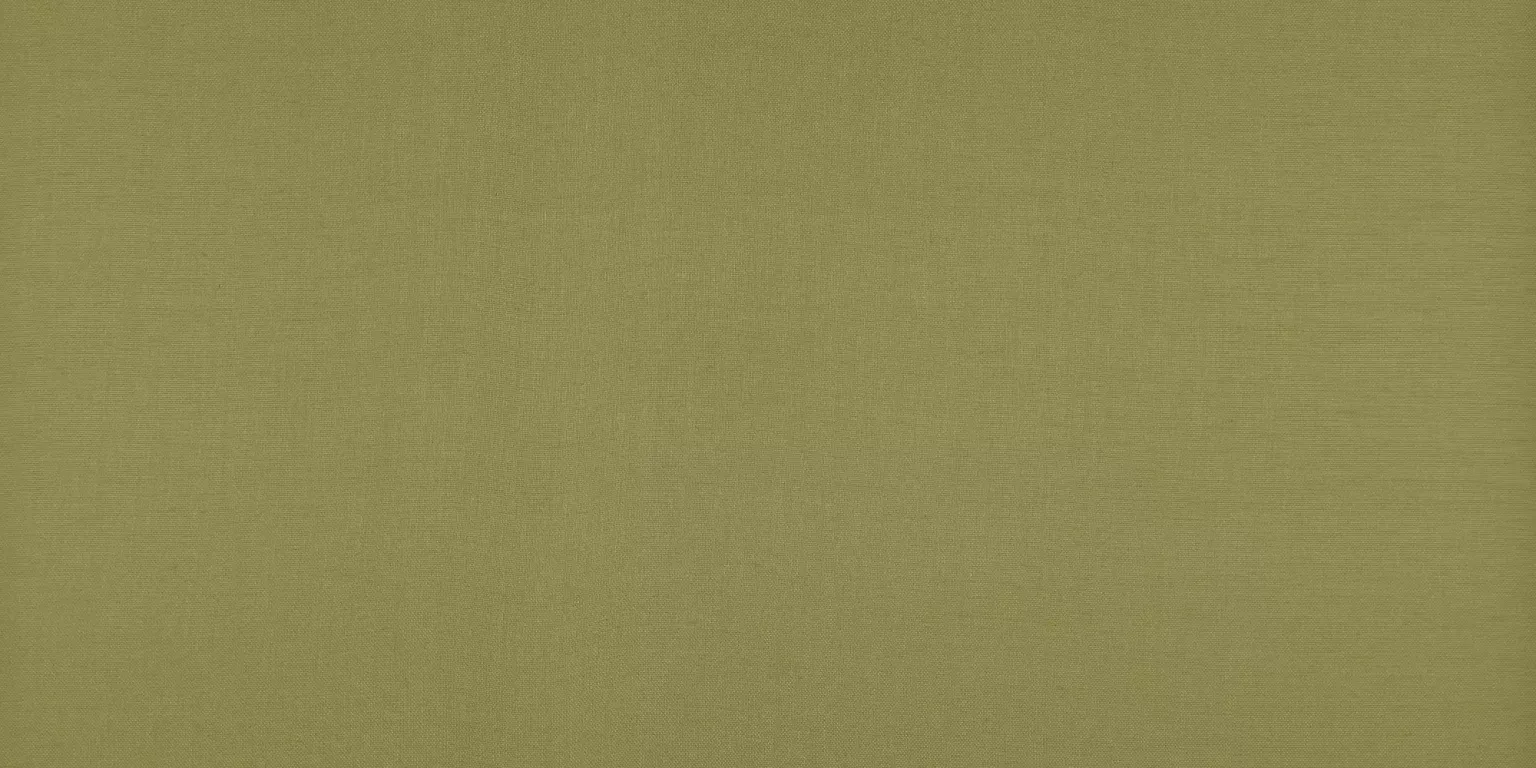  Fb. 0867
