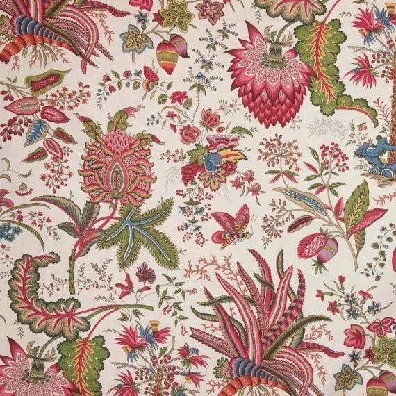 Braquenie Fleurs etranges 