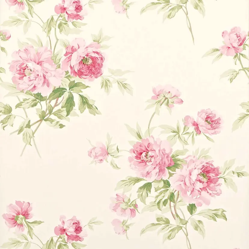 Rose/Cream