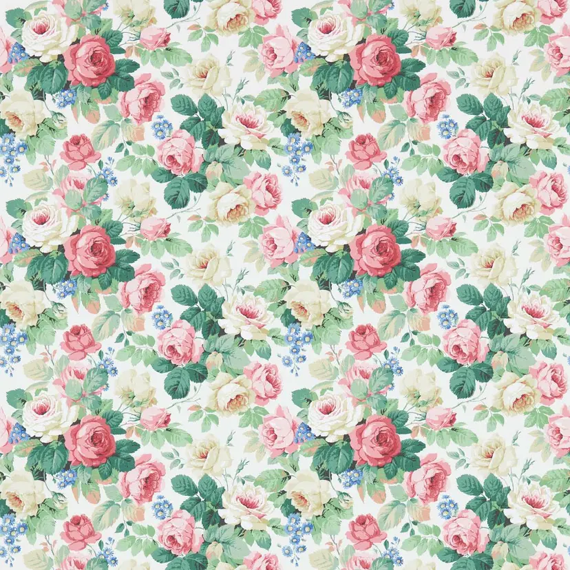 White/Pink