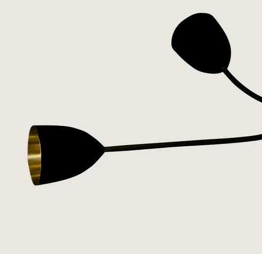 Porta Romana ·  Tulip Ceiling Light