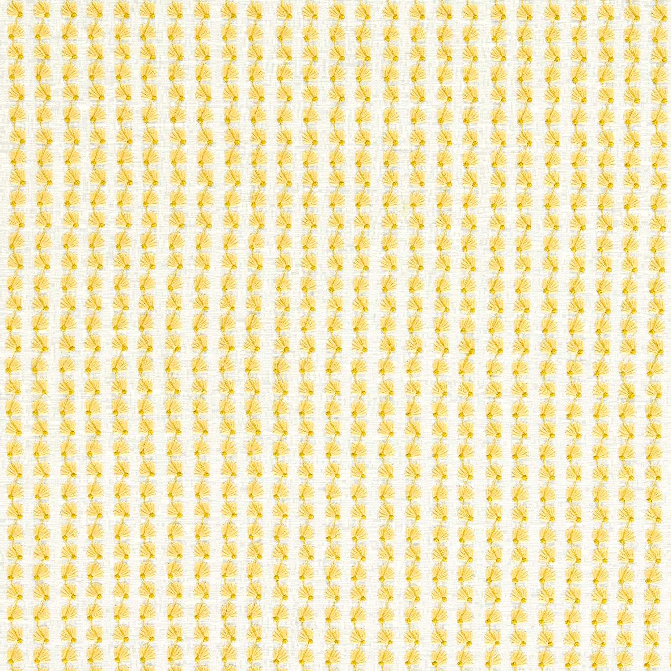 Honey/First Light/Ochre