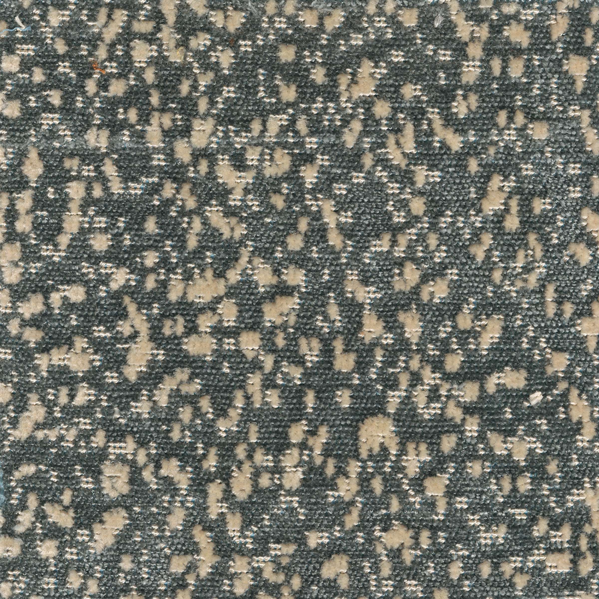 Le vent effleure la rive