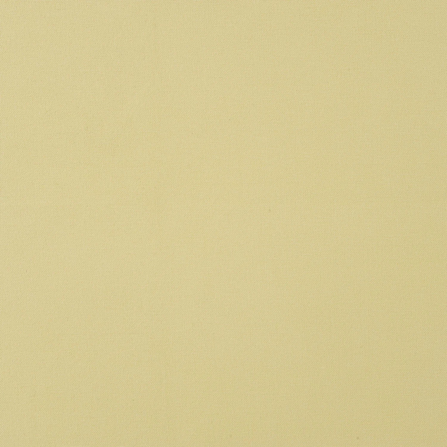Pollen