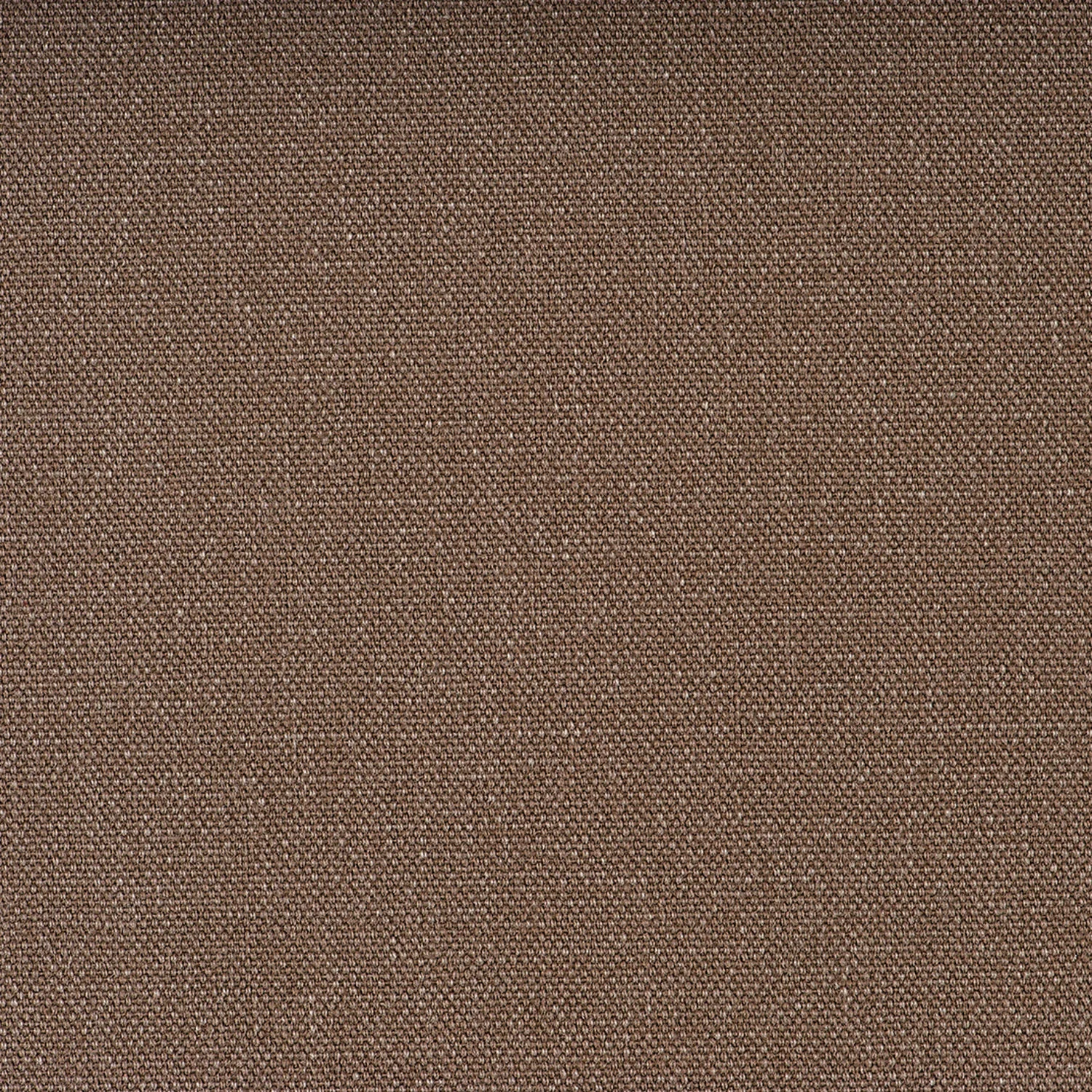 Beige5