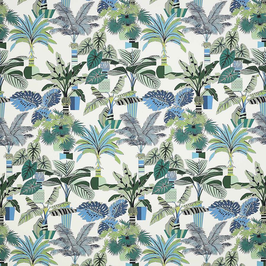 Manuel Canovas Florida  