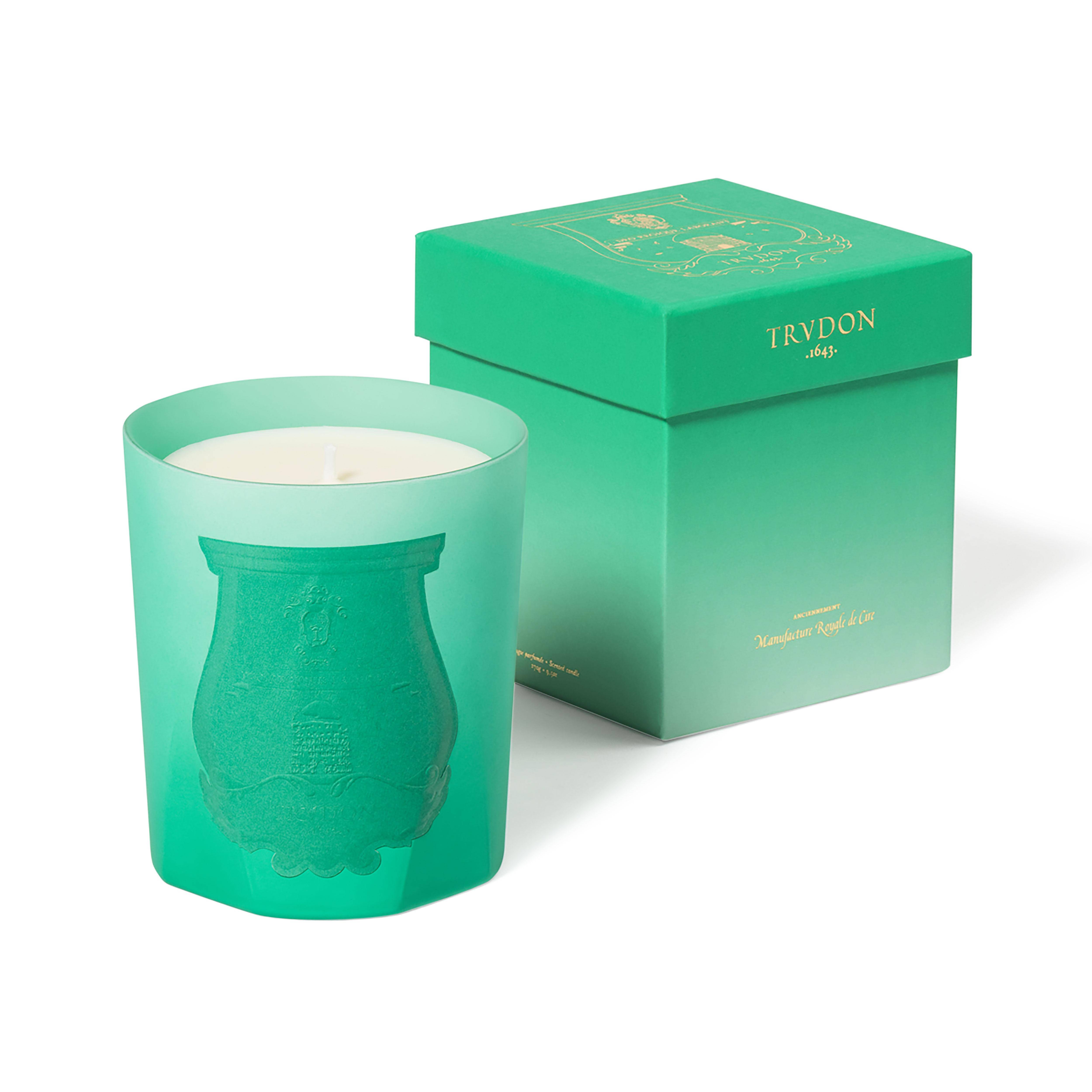 Trudon Under the Trees (Limitiert)