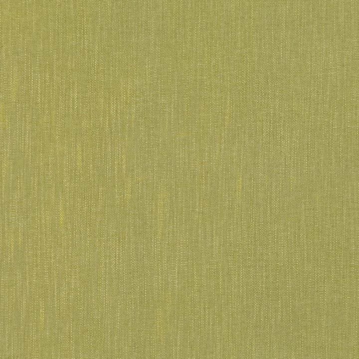 Salix