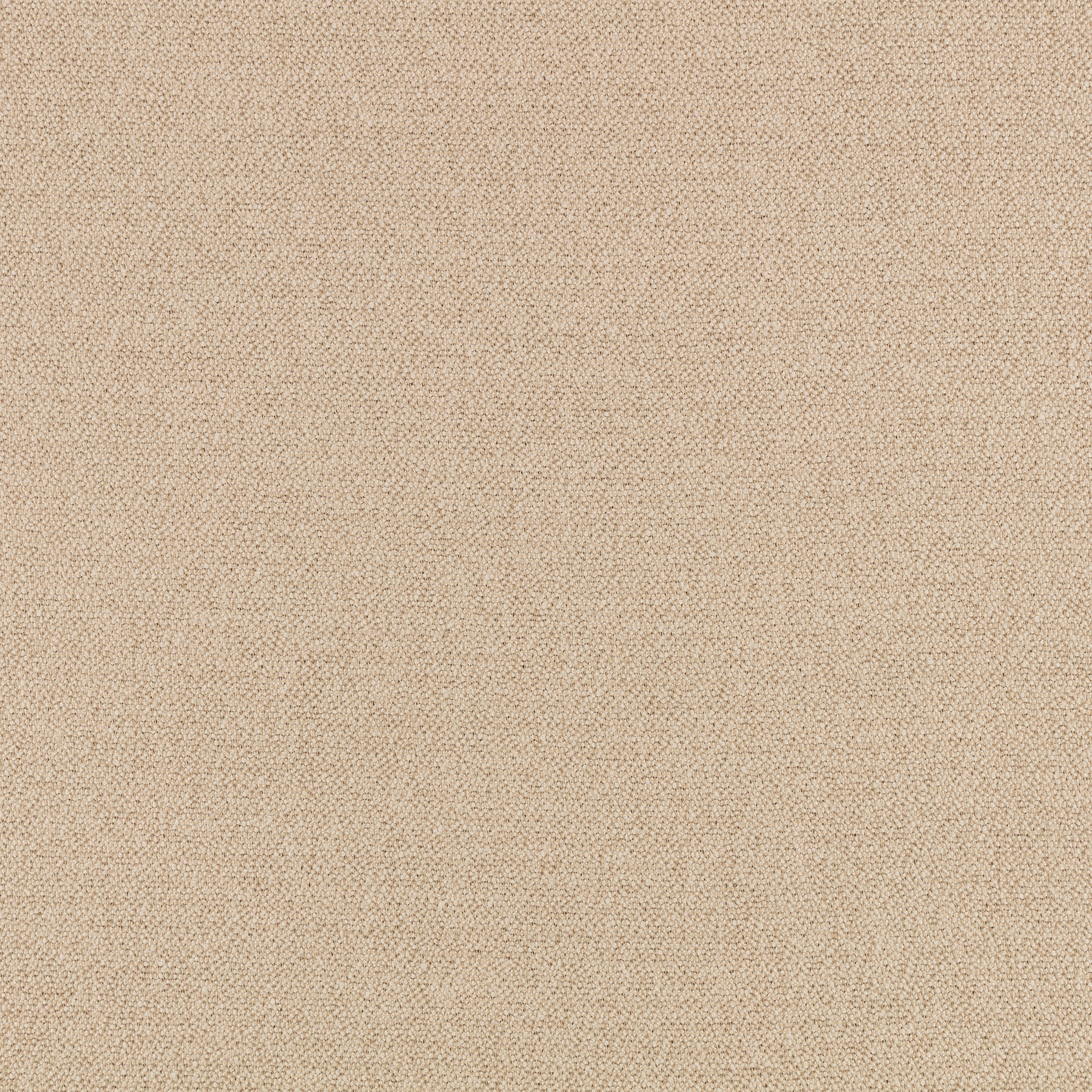 Jute