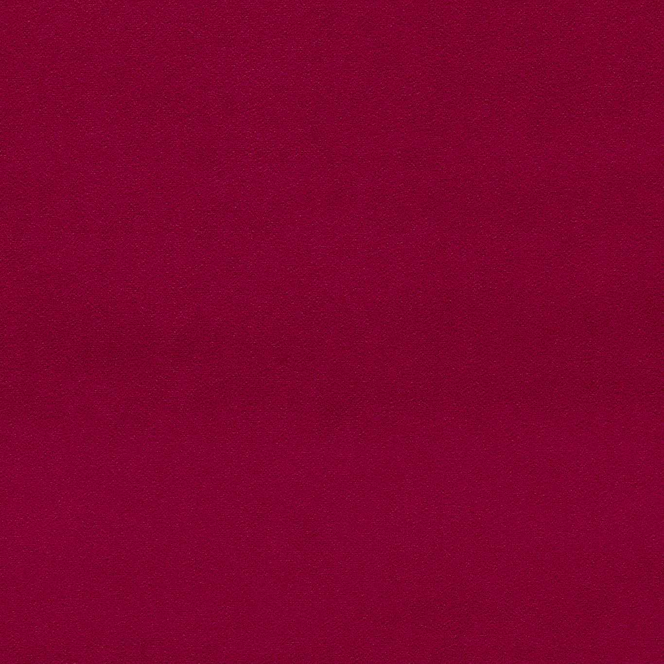 Fuschia